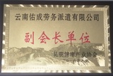 010、健康产业协会副会长单位.jpg